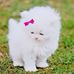 Trisha Jean Stacey - Facebook