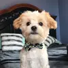 user6675902835938 - @stacey_jean - TikTok