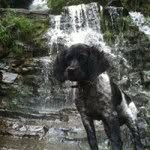Sookie Stackhouse Bureau - @jean_stackhouse - Instagram