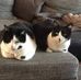 Jean-marie Stahl - Facebook