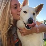 Jean Stahl - @jean_stahl - Instagram
