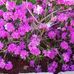 Jean Stahl - Facebook