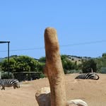 Jean Stamatopoulos - @jean.stamatopoulos - Instagram