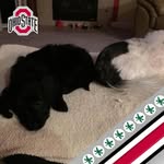 Jean Stepp Coleman - @jean.coleman005 - Instagram