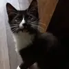 Jeanie Stepp - @jeanie.stepp - TikTok