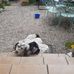 Jean-pierre Stoll - Facebook