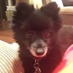 Jean Stover - @jdtrick54 - Instagram