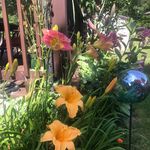 Jean Stover - @jnstover53 - Instagram