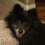 Jean Stover - @jean.stover - Instagram