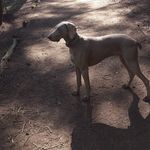 Jean Stowell - @stowell564 - Instagram