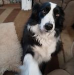Jean Strange - Facebook