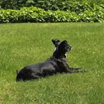 Jean Crowley-Stroud - @jeanstroud - Instagram