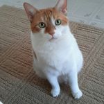 Jean Sutton - @jean.sutton.923 - Instagram