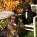 Jean Sutton - Facebook