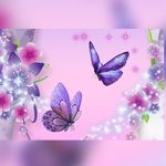 Jean Sutton - @jeansutton38 - Instagram