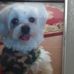 Jean Swain - Facebook