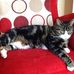 Jean Swain - Facebook