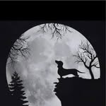 Jean Sword - @jsword60 - Instagram
