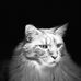 Jean Talbot - Facebook