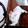 mary.shop14 - @jean.tejada - TikTok