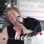 Jean Temple - Quinn - @mom_ajt - Instagram