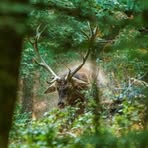 Jean Tesch - Facebook