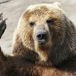 Jean Marc Thibault - @jeanmarc.thibault.67 - Instagram