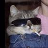 Jean Thibault - @jean_thi - TikTok
