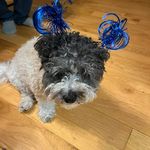 Christie Jean Tillery-Hughes - @sophialaland - Instagram
