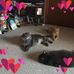 Jean Toth - Facebook