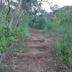 Jean Louis Allan Trail - @jeanlouisallantrail - Instagram