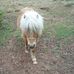 Jean Trainor - Facebook