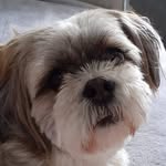 Jean Trainor - @jean.trainor.129 - Instagram
