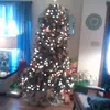 Jeanette Trantham - @jeanette.trantham - TikTok