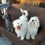 Jean Trask - @jeanmtrask - Instagram