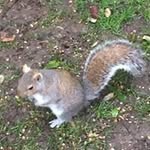 Jean Luc Traver - @jeanluctraver - Instagram