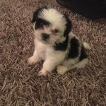 Iris Jean Trimble - @trimbleiris - Instagram