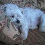 Jean Venable - @venable.jean - Instagram