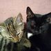 Jean Vitale - Facebook
