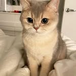Jean M. Volk - @jeanm.volk - Instagram