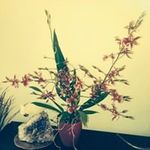 Jean Marc Volpe - @jeanmarcvolpe - Instagram
