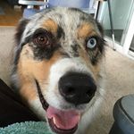 Jean Volpe - @jean_volpe - Instagram