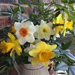 Jean Walls - @jean_walls - Instagram