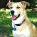 Jean Ware - Facebook