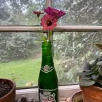 Jean Ware - @jeanmware - Instagram