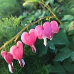 Jean Ware - @jean.ware.3 - Instagram