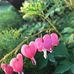 Jean Ware - Facebook