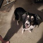 Jean Waring - @jean.waring.940 - Instagram