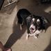 Jean Waring - Facebook