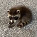 Jean Weidman - Facebook